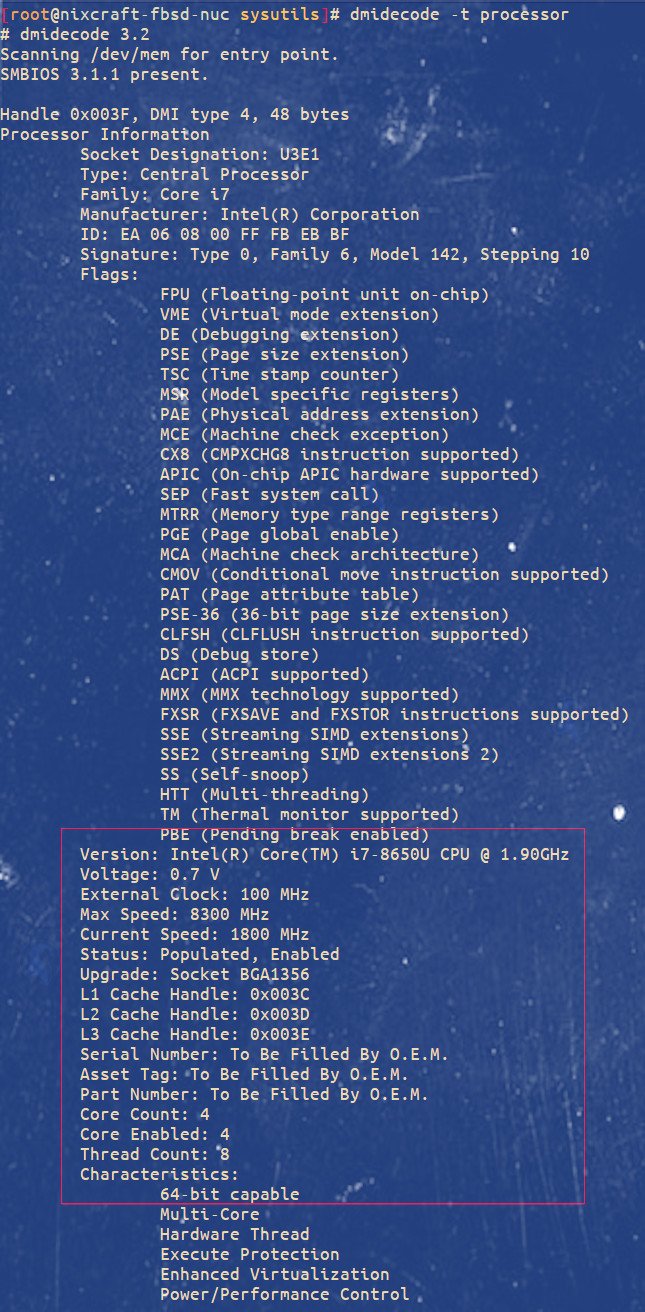 Come trovare il nome della CPU e le informazioni su computer e server unix FreeBSD