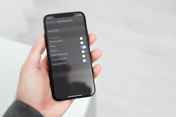 Come cancellare i cookie su Firefox, Opera su iPhone e iPad