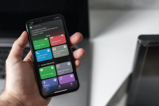 Come controllare il tempo di ricarica su iPhone e iPad 