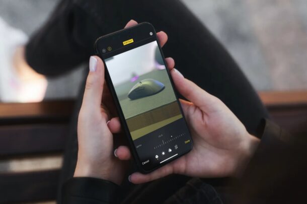 Come regolare la sfocatura in modalità Ritratto nelle foto su iPhone e iPad