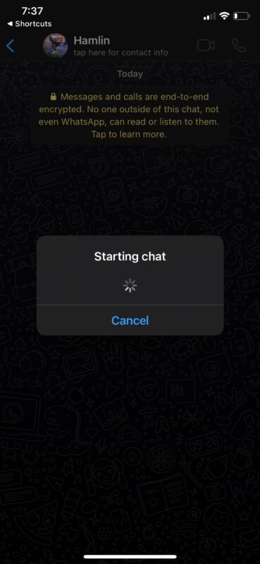 Come inviare SMS WhatsApp senza salvare il contatto su iPhone e iPad