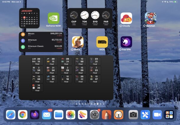 Widget dell'iPad nella schermata iniziale