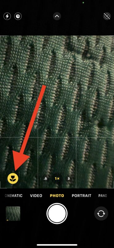 Scattare foto macro con iPhone 13 Pro
