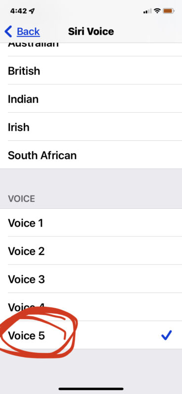 La voce Siri neutrale rispetto al genere su iPhone è Voice 5