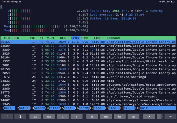 SSH da iPad a Mac con Termius