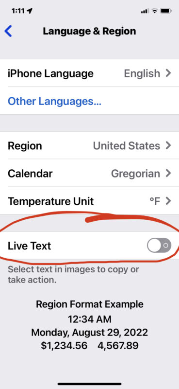Disattiva Live Text su iPhone e iPad