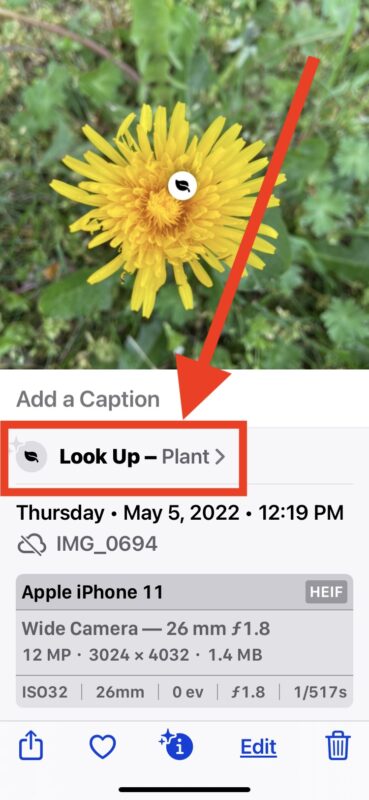 Come identificare piante e fiori con iPhone