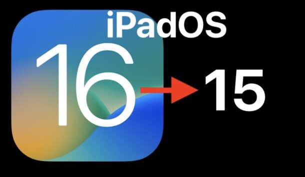 Esegui il downgrade di iPadOS 16 beta a iPadOS 15