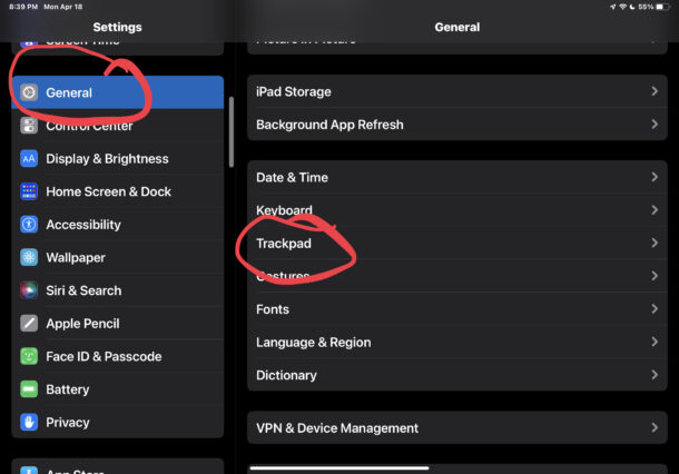 Accesso alle impostazioni del trackpad su iPad