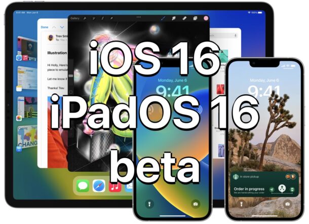 Beta pubblica di iOS 16 e beta pubblica di iPadOS 16