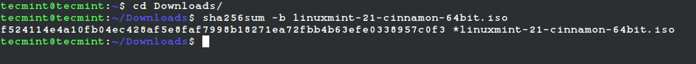 Verifica l'ISO di Linux Mint