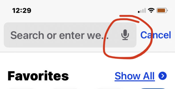 Rimuovi il pulsante di dettatura del microfono dalla barra di ricerca di Safari su iPhone o iPad