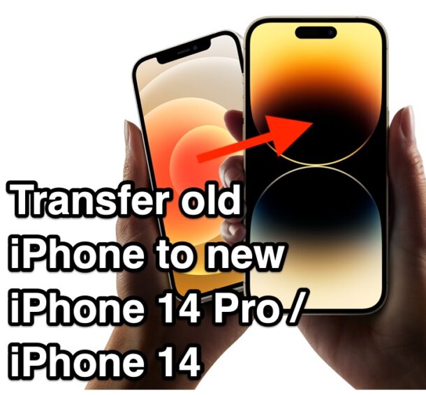 Trasferisci il vecchio iPhone al nuovo iPhone 14 Pro