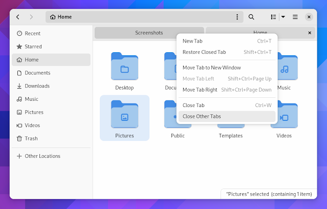 GNOME 44 Nautilus nuove opzioni della scheda GNOME 44 Nautilus nuove opzioni della scheda
