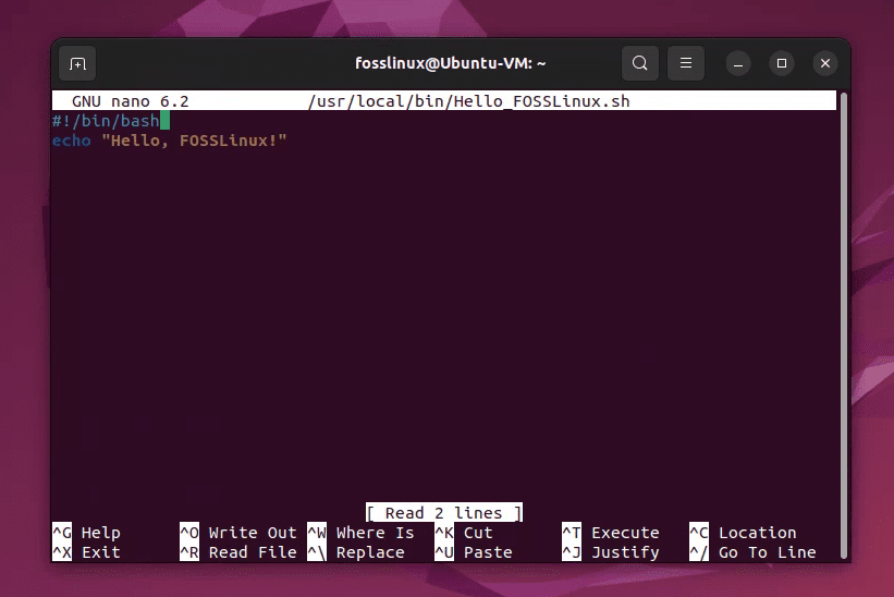 utilizzando nano editor per creare un file di script