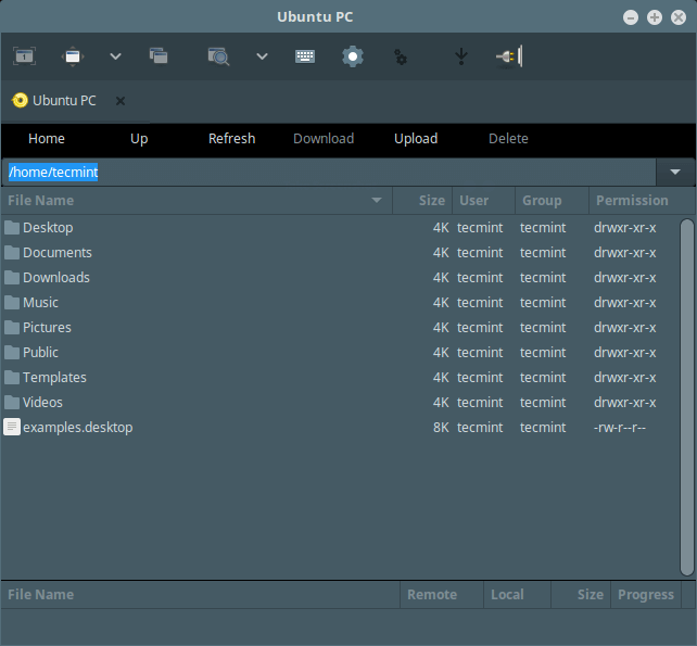 Remmina File system sFTP remoto