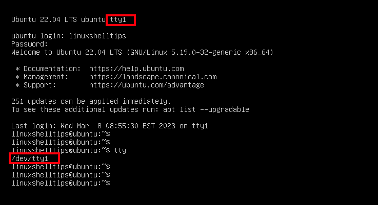 Consolle virtuale Linux