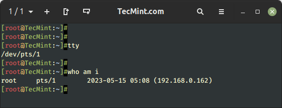 Controlla TTY corrente in Linux