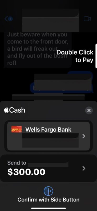 Come inviare denaro con Apple Cash da Messaggi su iPhone
