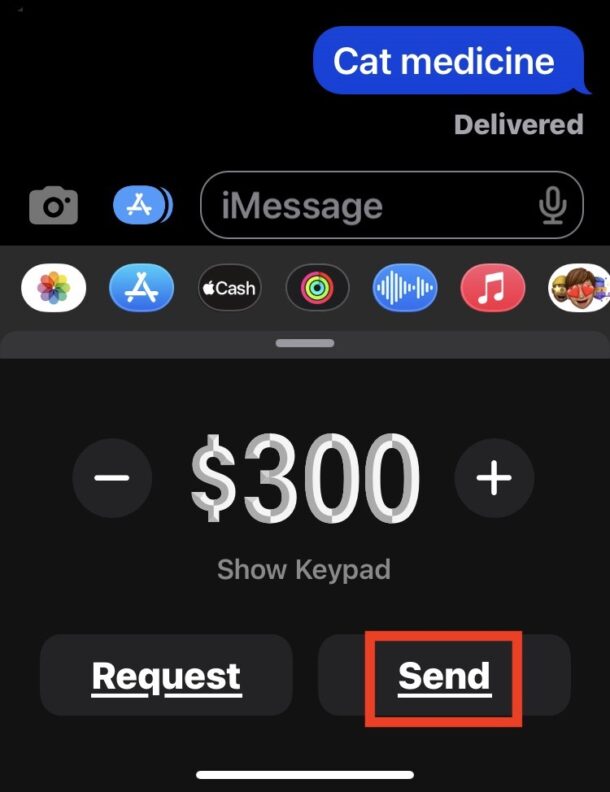 Come inviare denaro con Apple Cash da Messaggi su iPhone