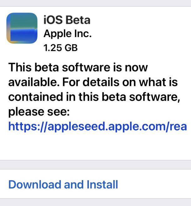 Come attivare o disattivare gli aggiornamenti beta di iOS e gli aggiornamenti beta di iPadOS