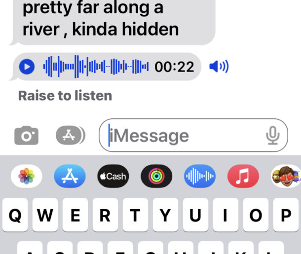 utilizzando i messaggi vocali su iPhone