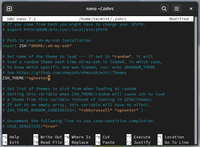 Imposta il tema Oh-My-Zsh