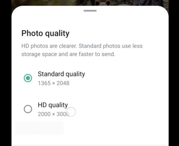 Invia foto di qualità HD ad alta risoluzione su WhatsApp