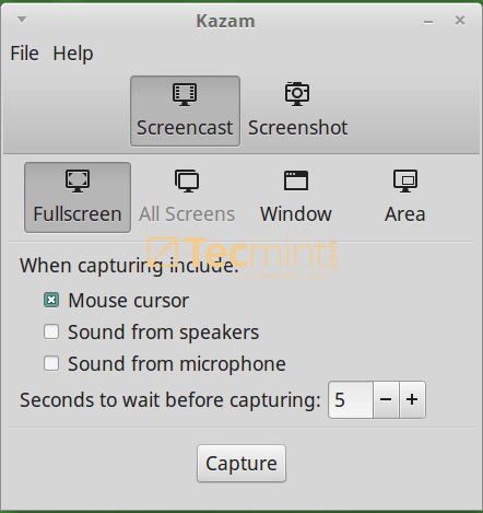 Registratore dello schermo Kazam per Linux