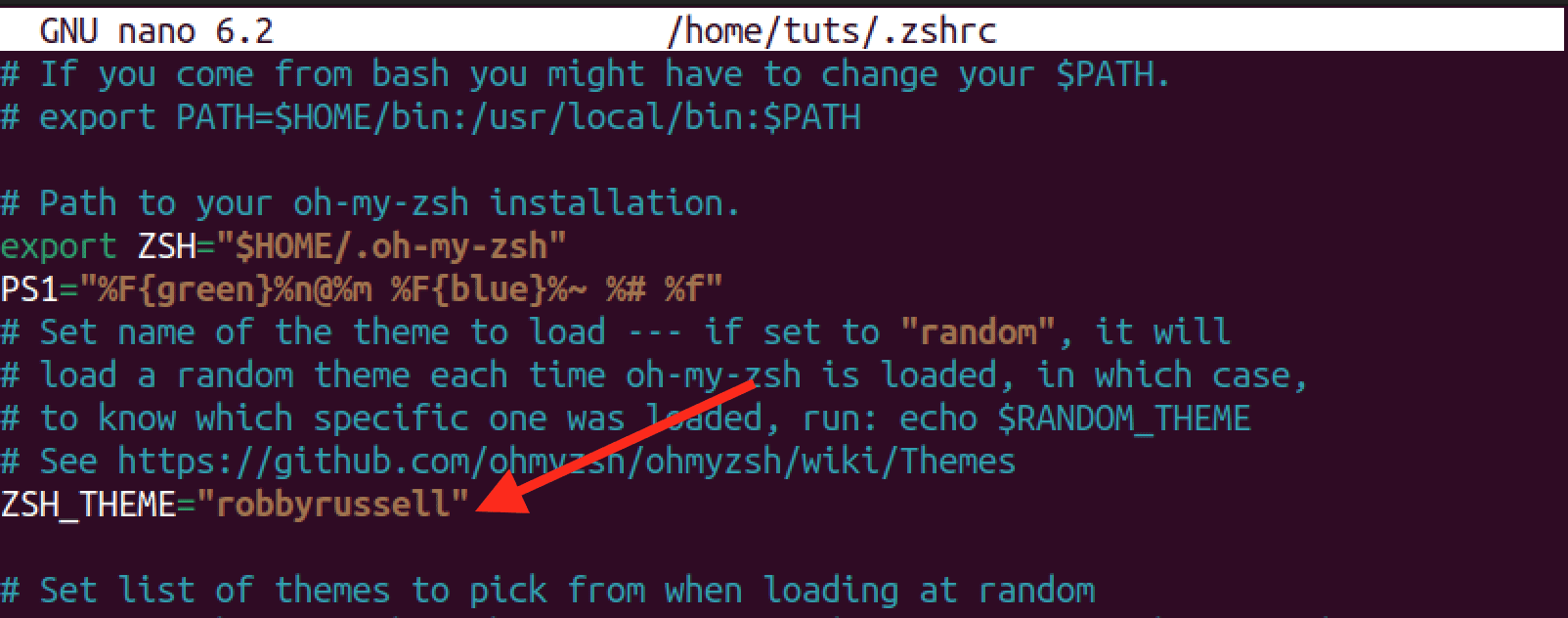oh il mio tema predefinito zsh
