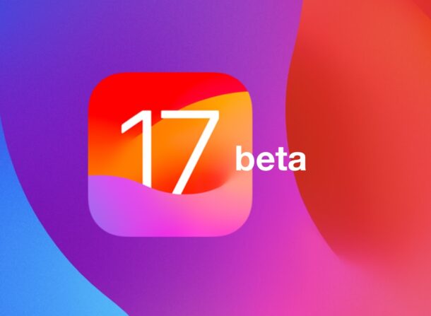 iOS 17.2 RC beta e iPadOS 17.2 RC beta