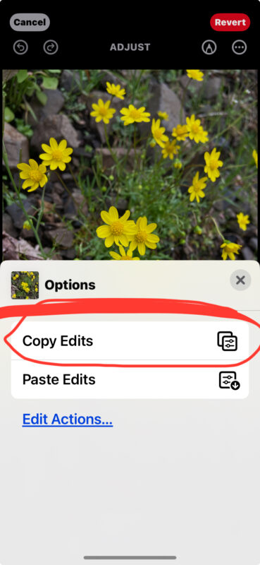 Come copiare e incollare le modifiche alle immagini su iPhone e iPad