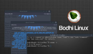 Bodhi Linux