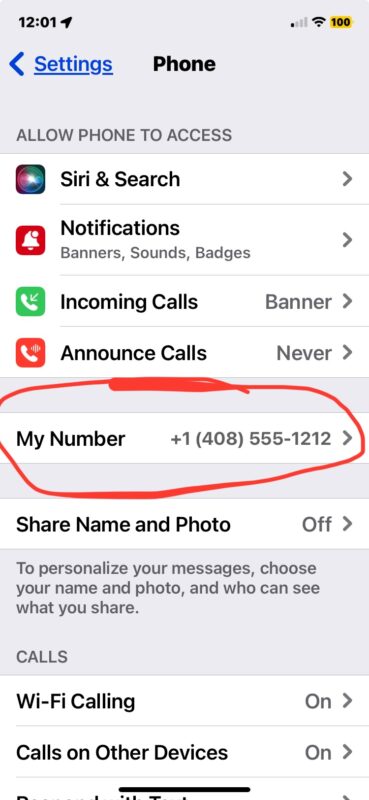 Come trovare il tuo numero di telefono su iPhone