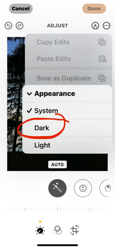 Come modificare sempre le foto in modalità scura o in modalità luce su iPhone o iPad