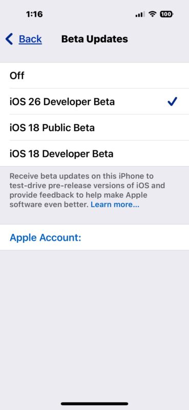 Scegli lo sviluppatore iOS 26 beta