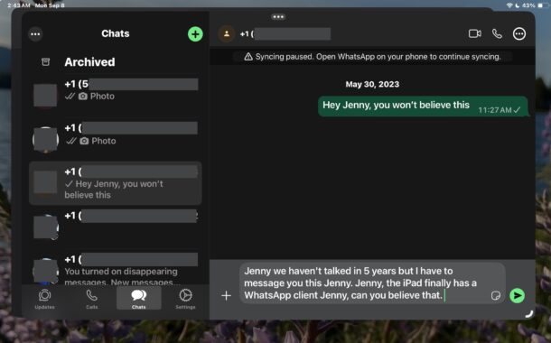 WhatsApp per iPad