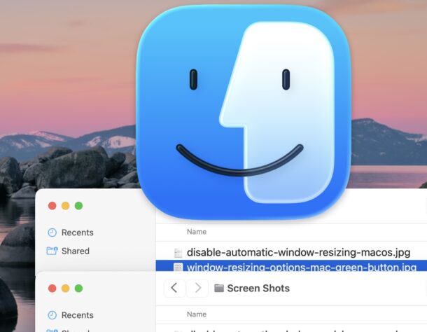 Come disabilitare il ridimensionamento automatico della finestra in MacOS