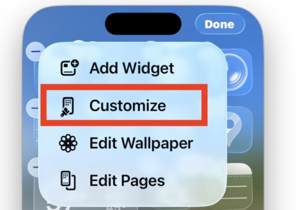 Scegli Personalizza dal menu Modifica per modificare l'aspetto della tua icona